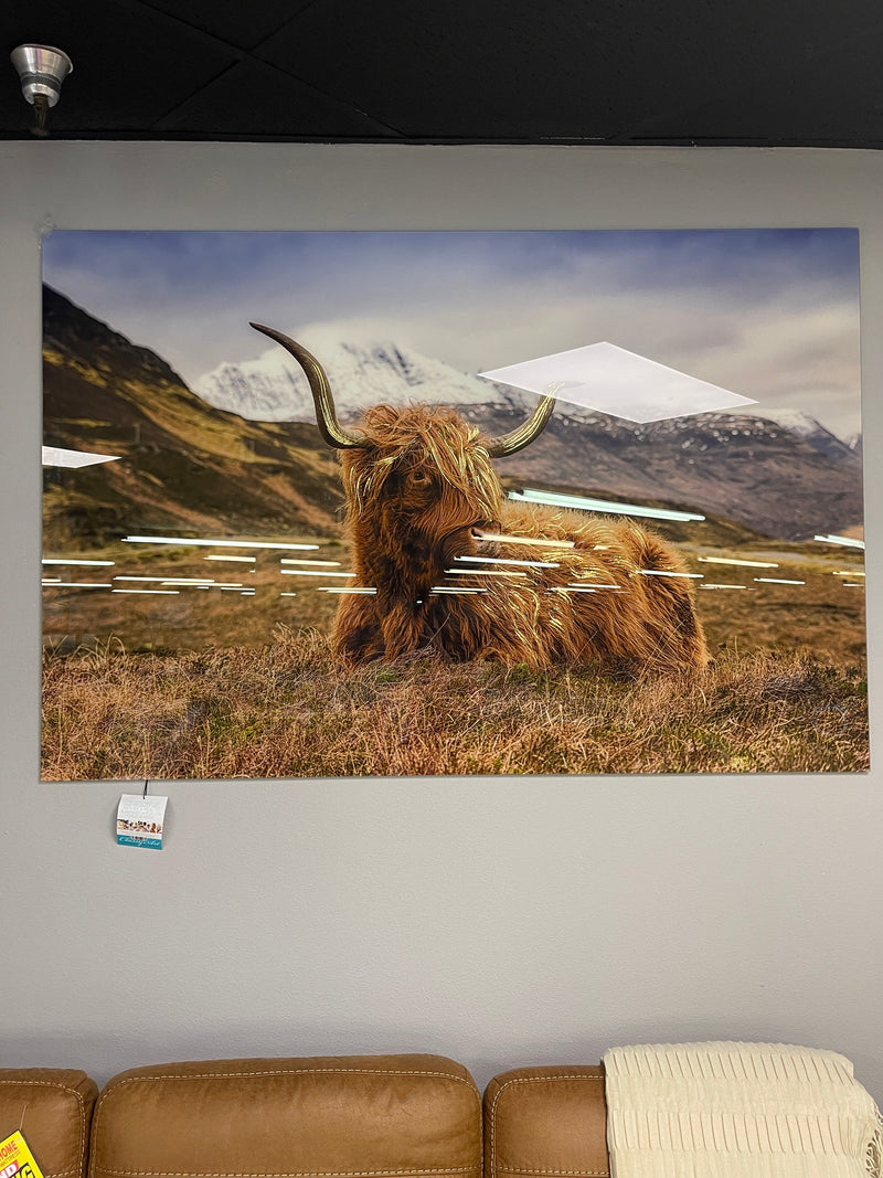 Highland Cow II Tempered Glass w / Foil