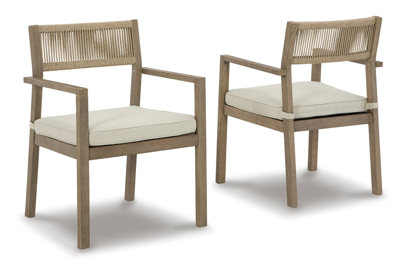 Aria Plains Brown Outdoor Armchair w/ Cushion (Set of 2)