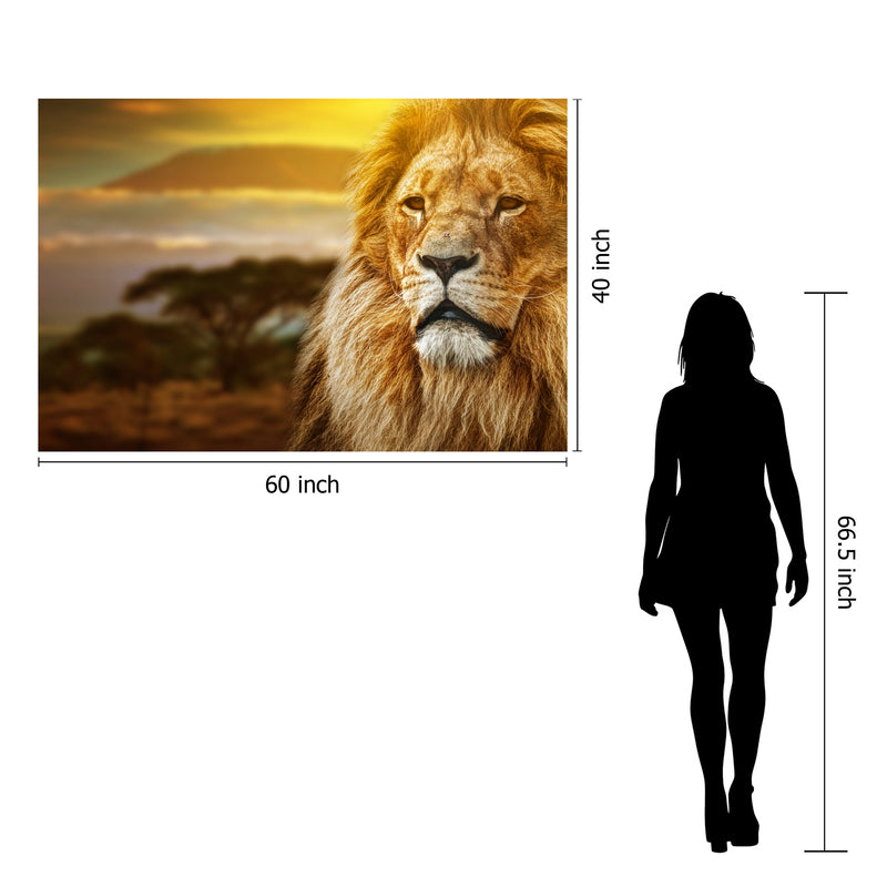 Lion Safari Tempered Glass w / Foil