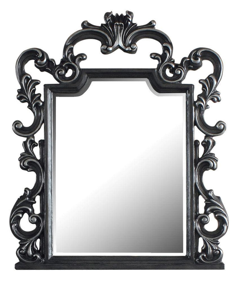 Acme Furniture House Delphine Mirror in Charcoal 28834 - Ornate Home