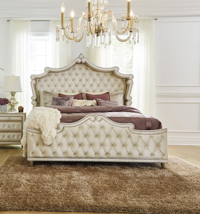 Antonella - Ivory & Camel - Eastern King  Panel Bed - Ornate Home