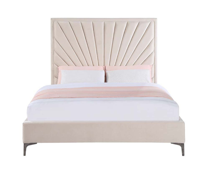 Faiz Beige Velvet Bed