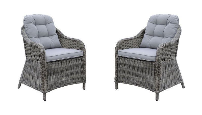 Canistota - Gray - Outdoor Dining Chair (Set of 2) - Ornate Home