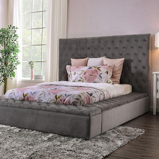 Davida - Gray - Queen Storage Bed - Ornate Home