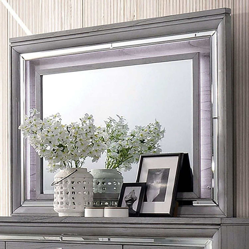 Alanis - Gray - Mirror w/ LED Light - Ornate Home