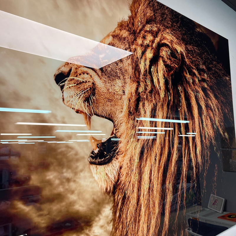 Roaring Tempered Glass w / Foil Wall Art