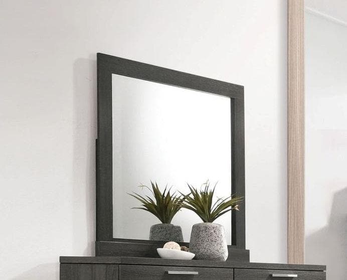 Lantha - Gray Oak - Mirror - Ornate Home