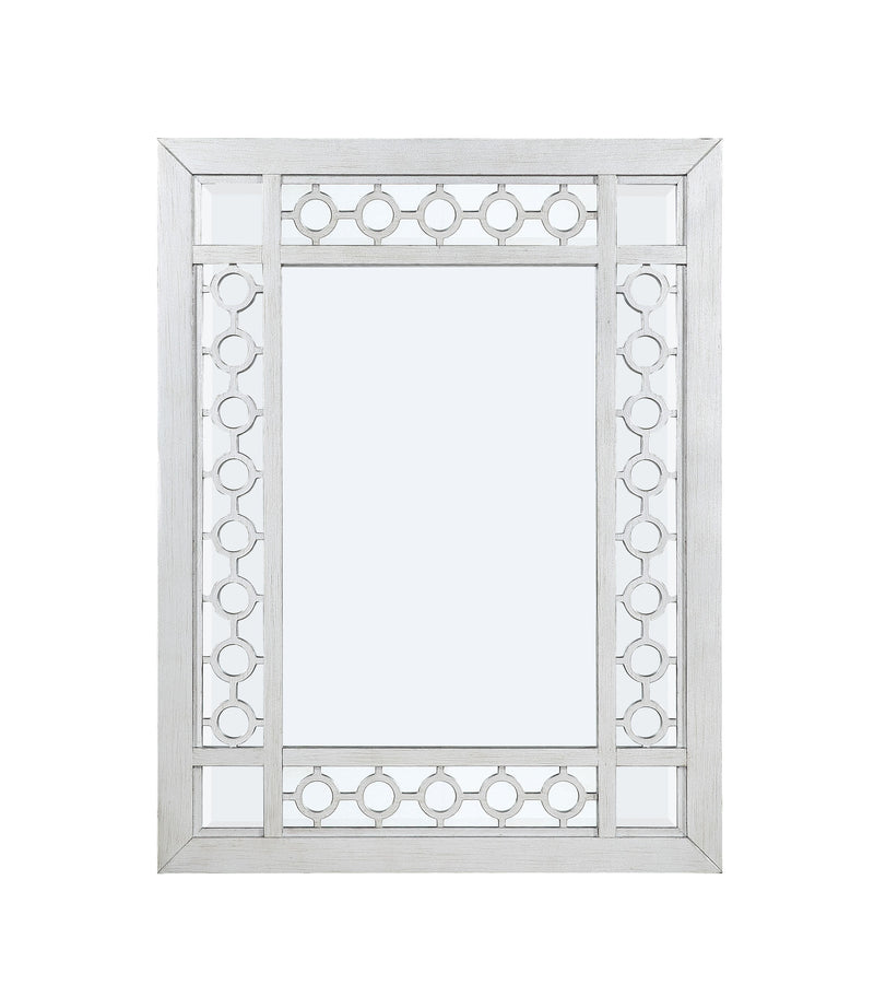 Varian Mirrored & Antique Platinum Mirror - Ornate Home